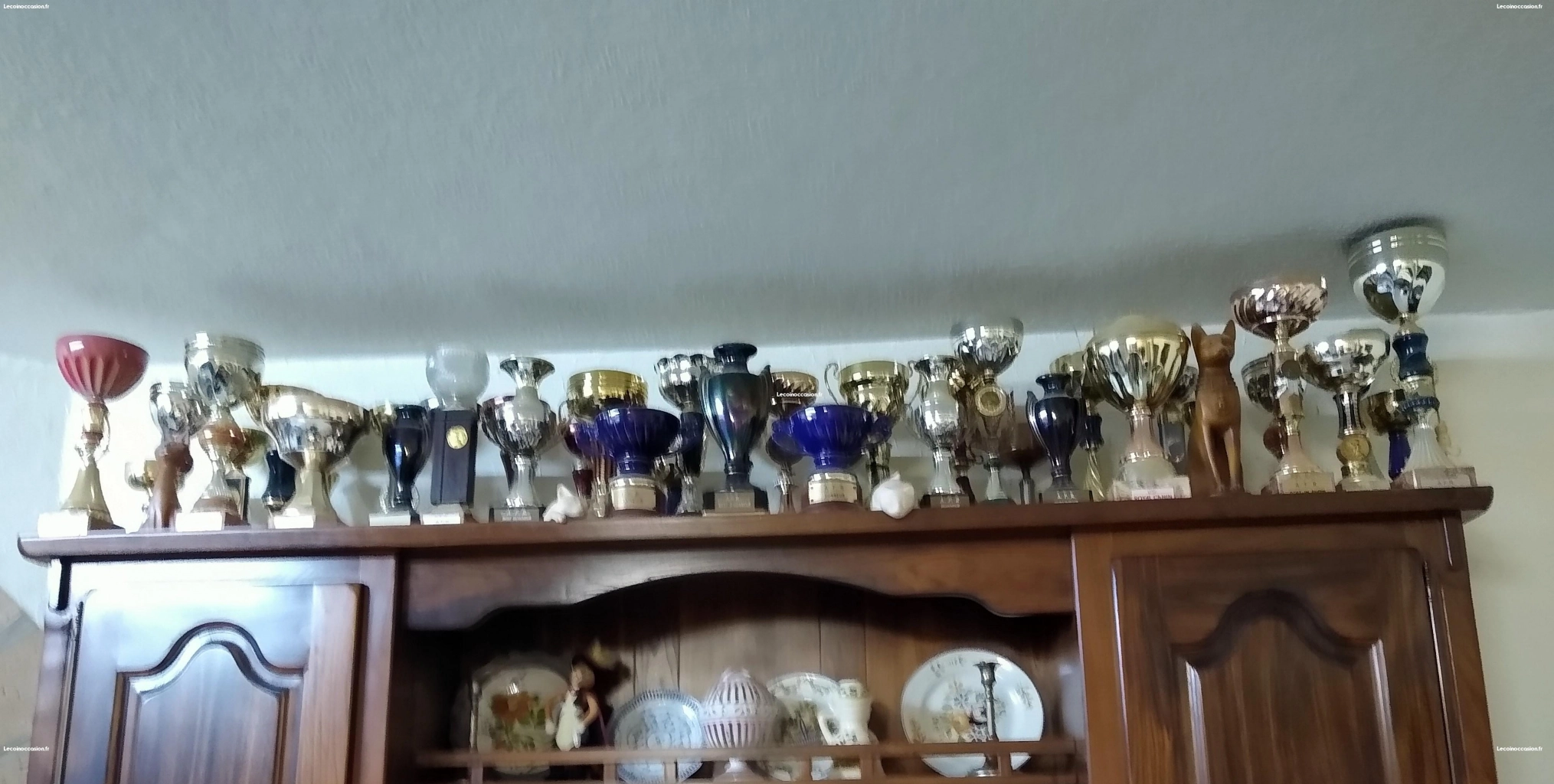 Coupes et trophées